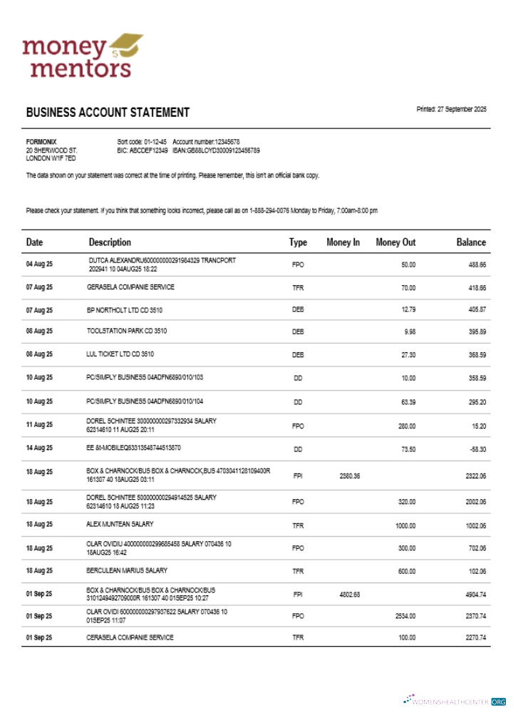 Download Money Mentors company checking account statement Word and PDF template (1) Photoshop template
